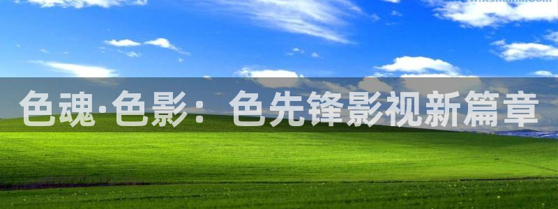 飄雪影視在線播放