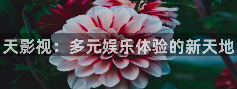 飄雪影院熱門電視劇：天影視：多元娛樂體驗的新天地