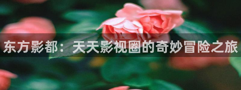 飄雪影院熱門電視劇有哪些：東方影都：天天影視圈的奇妙冒險之旅